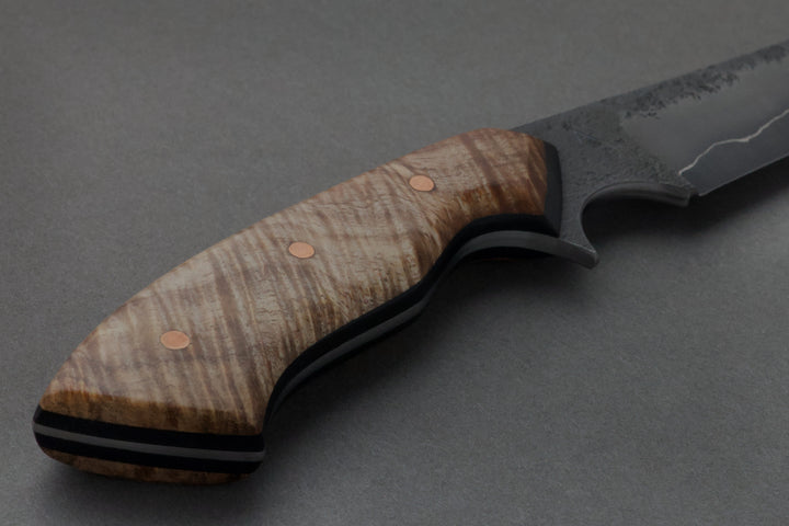 95 mm Carbon Steel Wharncliffe - Tasmanian Blackwood, handle close-up